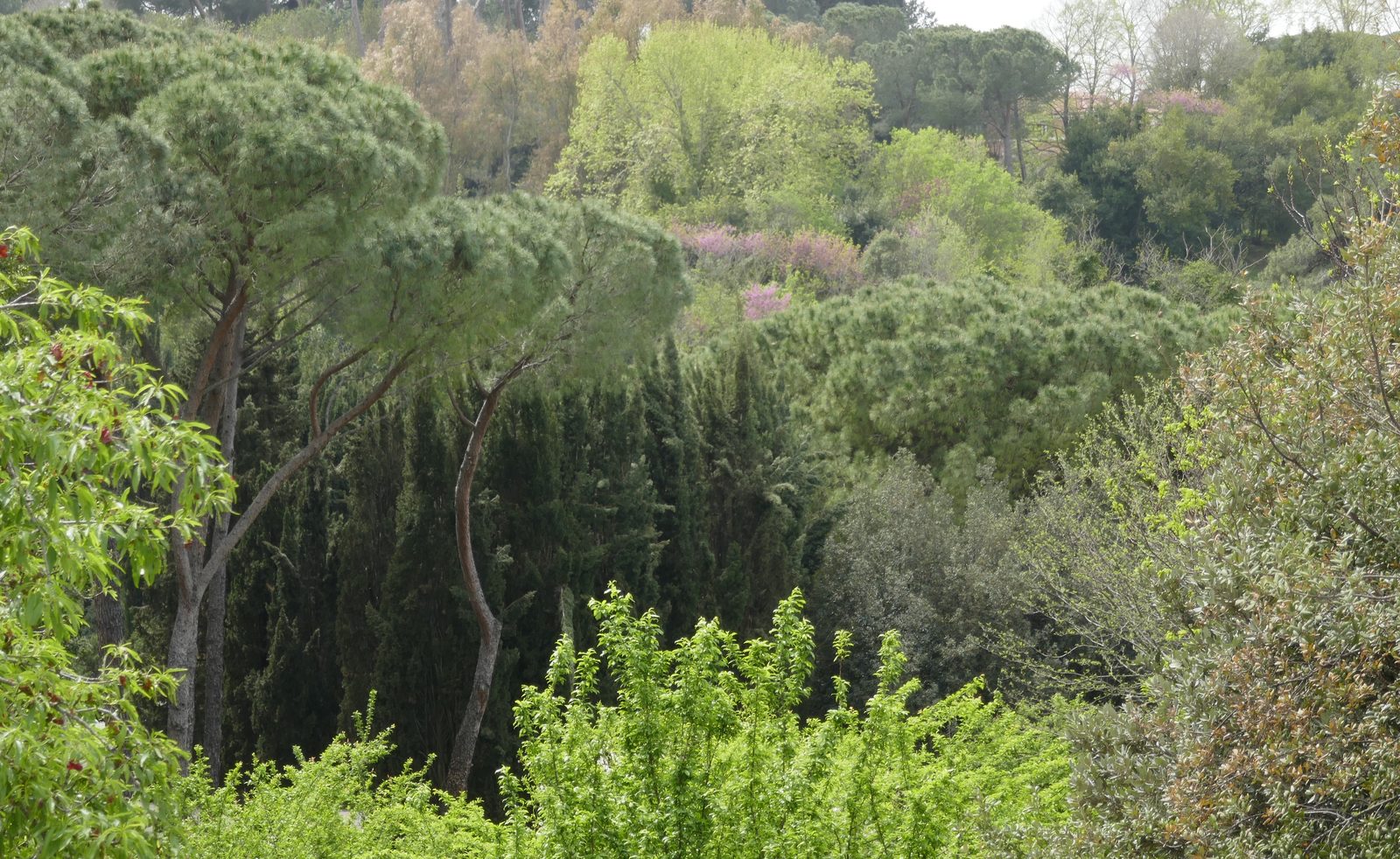 Il parco del Gianicolo